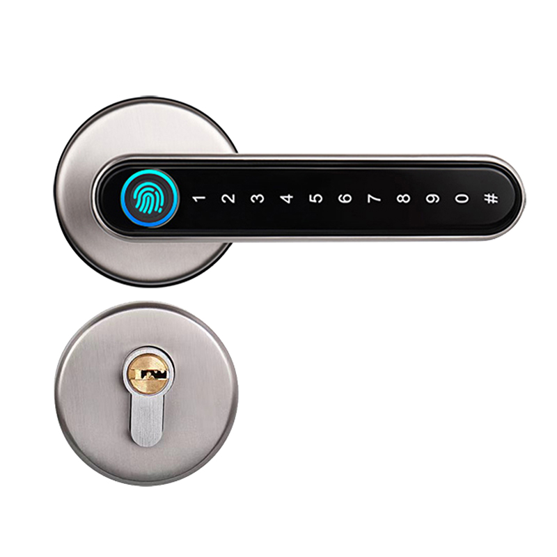 Oraxel Smart Door Lock (EY-S101)