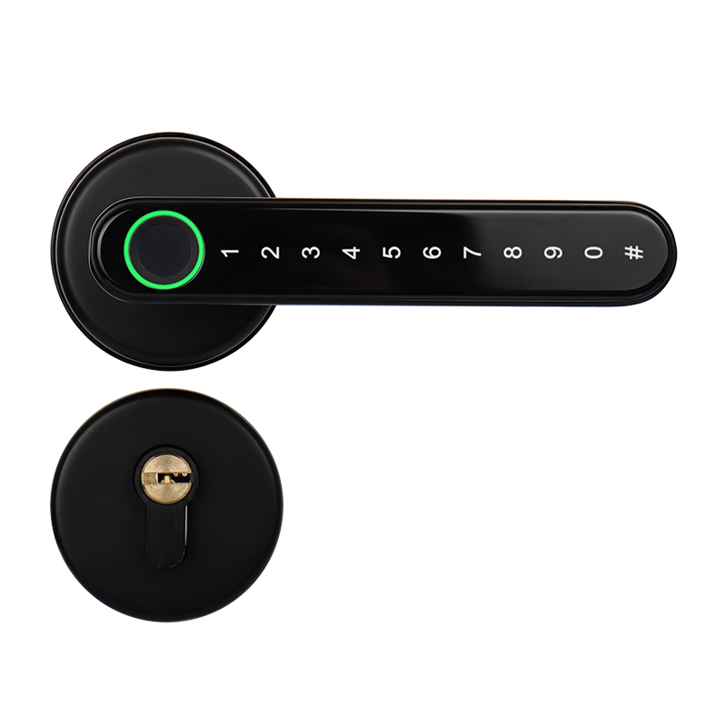 Oraxel Smart Door Lock (EY-S101)