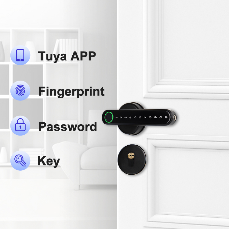 Oraxel Smart Door Lock (EY-S101)