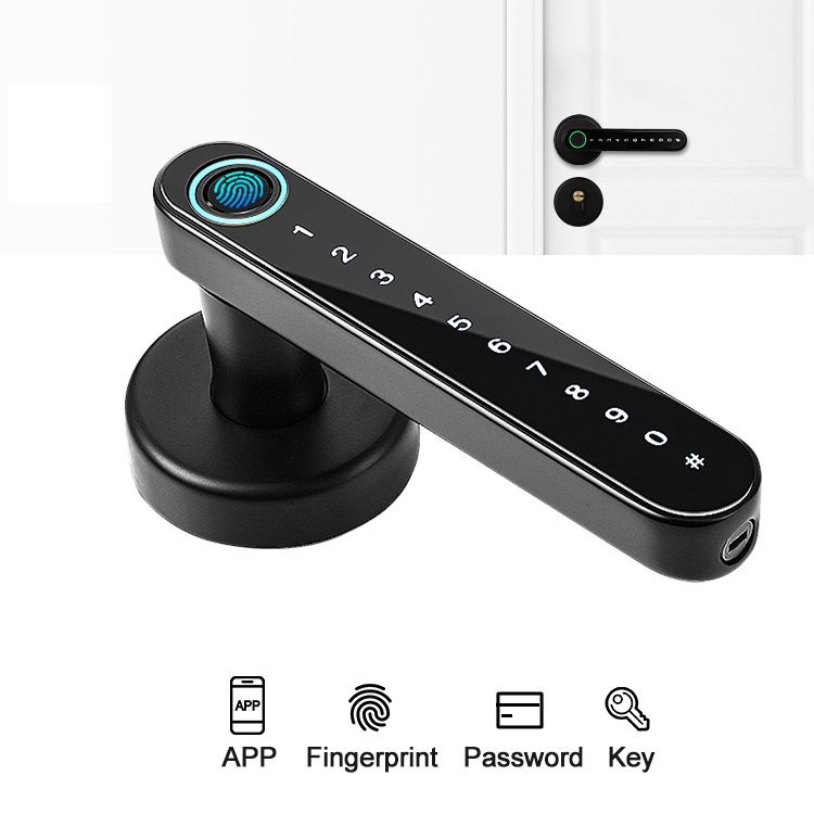 Oraxel Smart Door Lock (EY-S101)