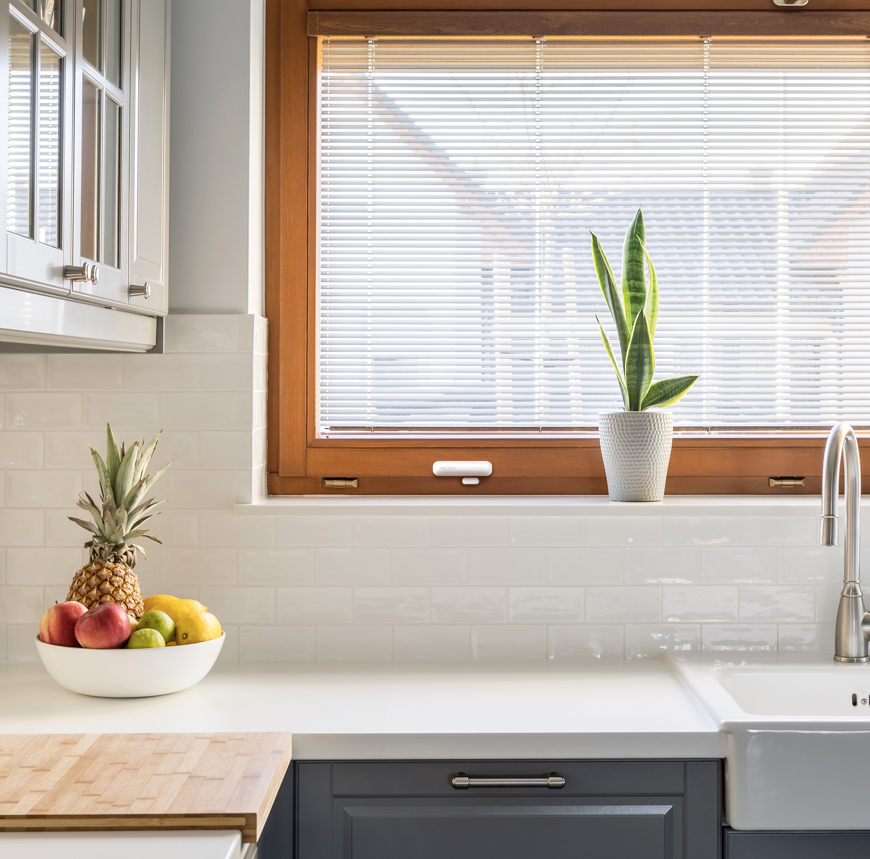 Door / Window Sensor 7